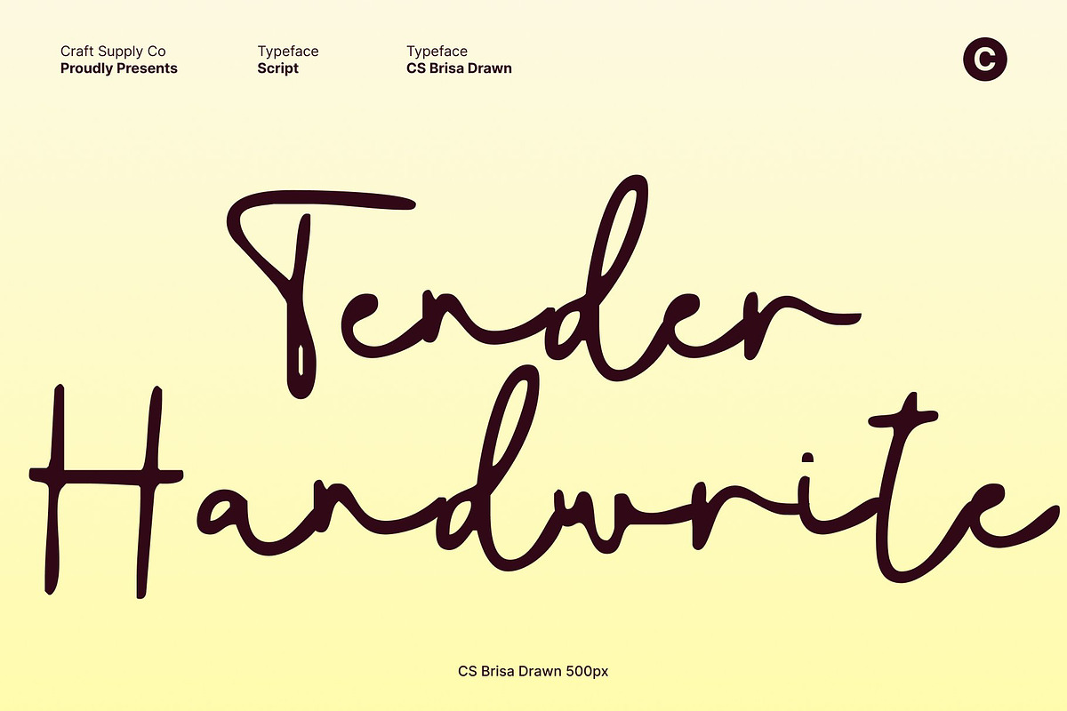 CS Brisa Drawn, a Script Font by Craft Supply Co. (Photo 2 of 8)