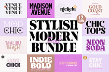 STYLISH MODERN Font Bundle V1