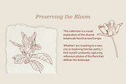 Preserving the bloom 100 flowers, a Decorative Illustration by Visual Animal (Thumbnail 2 of 10)
