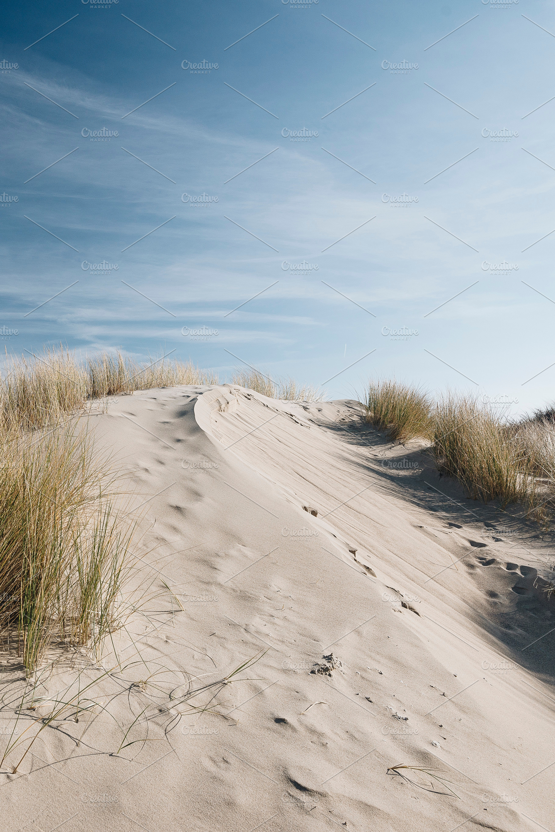 Sand Dunes by the ocean, a Nature Photo by Kelly Van de Vliet