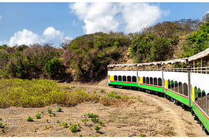 Scenic railway train traveling, a Transportation Photo by Leonid Andronov