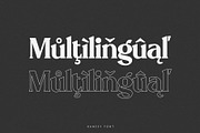 Hanesy - Modern Serif Font, a Serif Font by Ivan Rosenberg (Thumbnail 7 of 9)