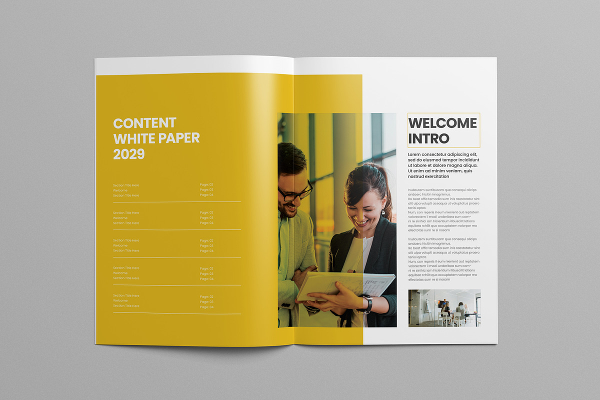 White Paper, a Brochure Template by Pixelpick (Photo 2 of 9)