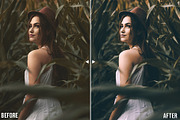 Moody Lightroom Presets And Mobile, an Action Add-On by Presetsh.com (Thumbnail 5 of 19)