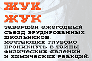 Rodeqa Slab 4F Bold, a Serif Font by 4th february type foundry (Thumbnail 3 of 3)