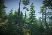 Nature Package, an Environmental 3D Model by SilverTM (Thumbnail 11 of 21)
