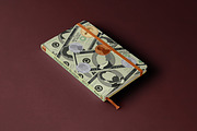 Money Illustrations, an Illustration by Megan Alayne (Thumbnail 5 of 6)