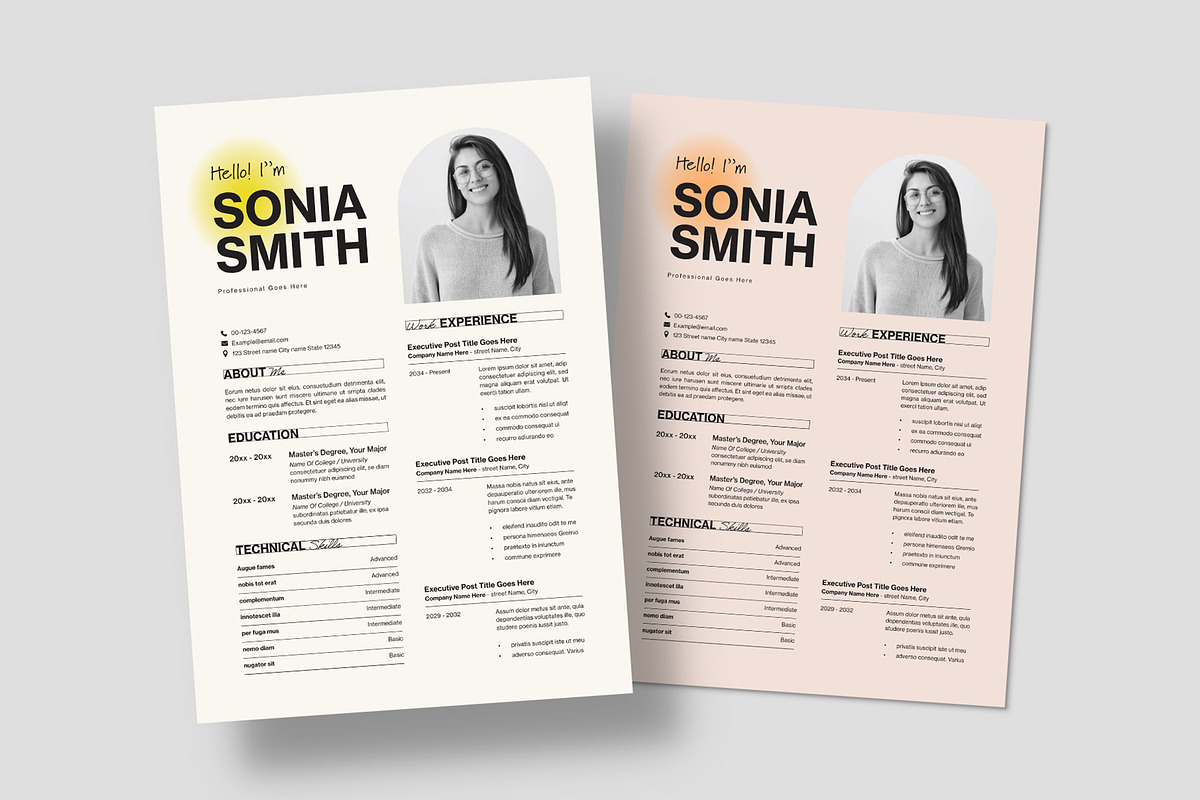 Resume Template preview 2