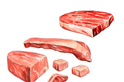 Raw Meat Watercolor set, a Food Illustration by wedraw (Thumbnail 6 of 8)
