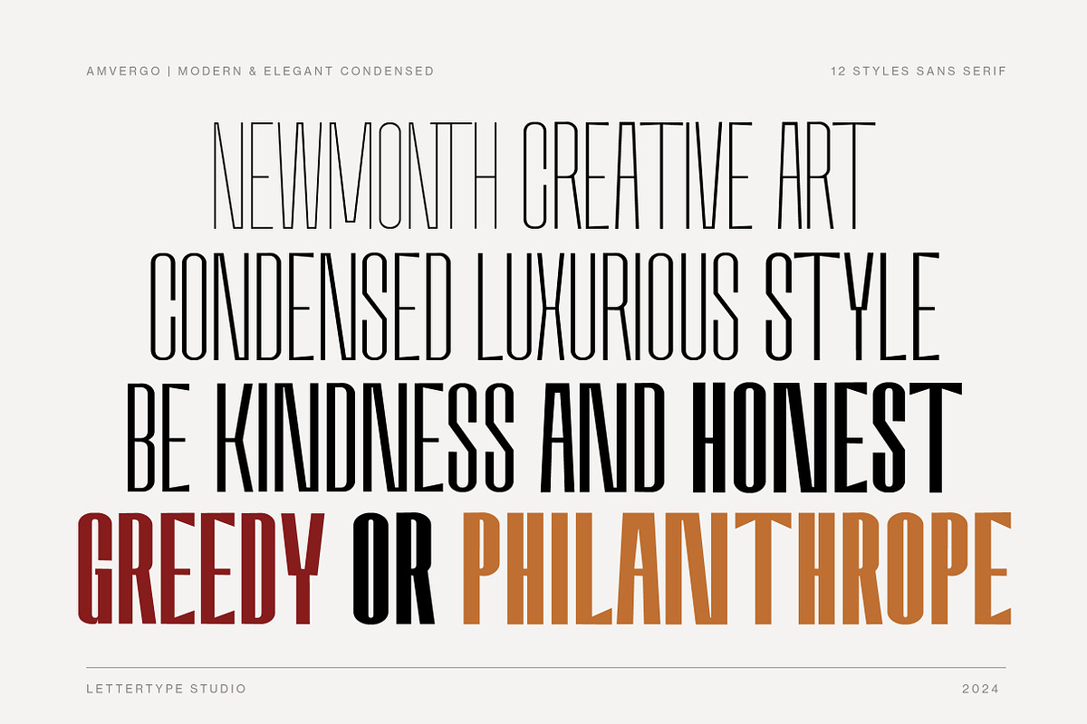 Amvergo Modern Sans Family, a Sans Serif Font by Lettertype Studio (Photo 7 of 18)