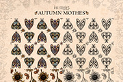 Autumn Moths & Dried Botanicals, an Animal Illustration by Ink Stories (Thumbnail 12 of 18)