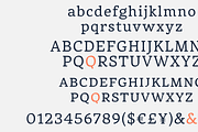 Rival Font Family, a Slab Serif Font by Mostardesign Type Foundry (Thumbnail 3 of 13)