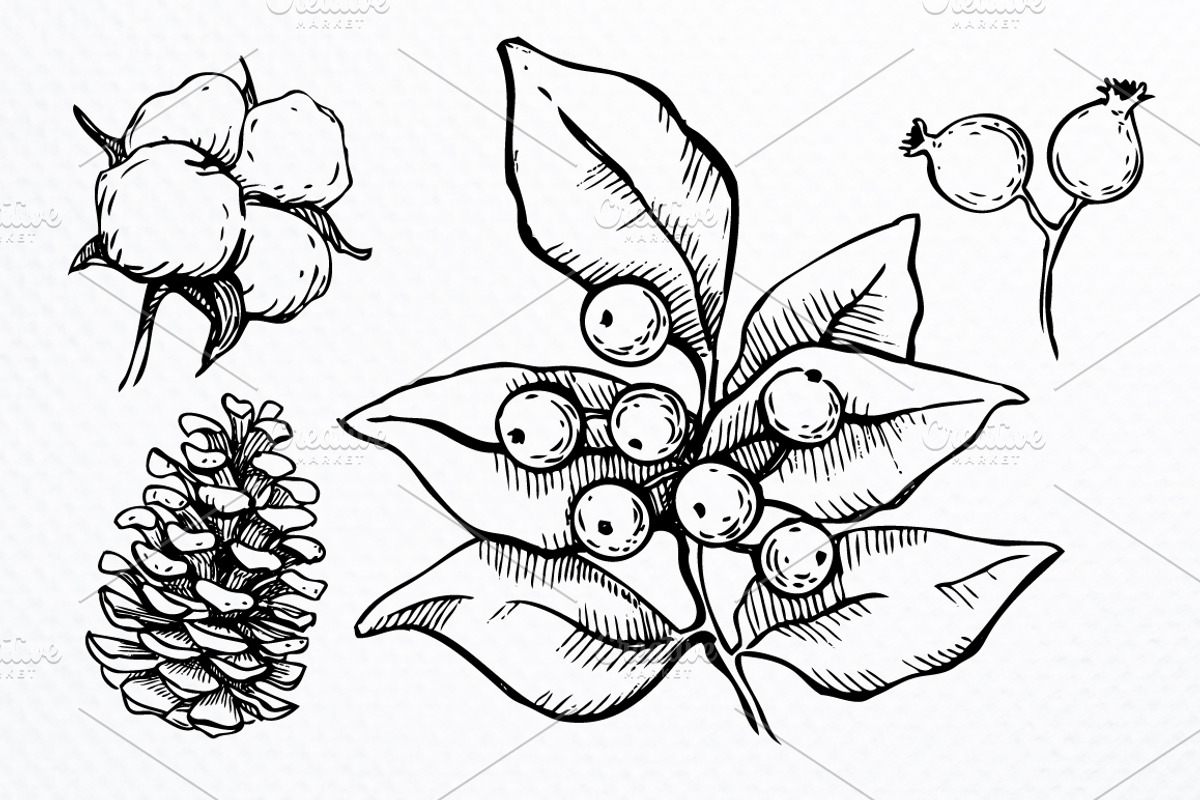 Hand Drawn Christmas Plants., a Decorative Illustration by Epine (Photo 3 of 3)