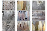 NATURAL WOOD TEXTURES, a Texture Graphic by AnimadDesign (Thumbnail 2 of 7)