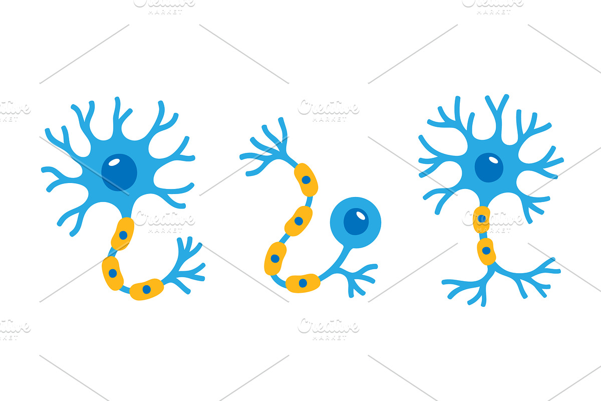 Different neuron cell types with, an Object Illustration by GraphiShop