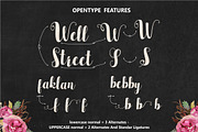 Cattleya Script, a Script Font by Genesis Lab (Thumbnail 3 of 5)