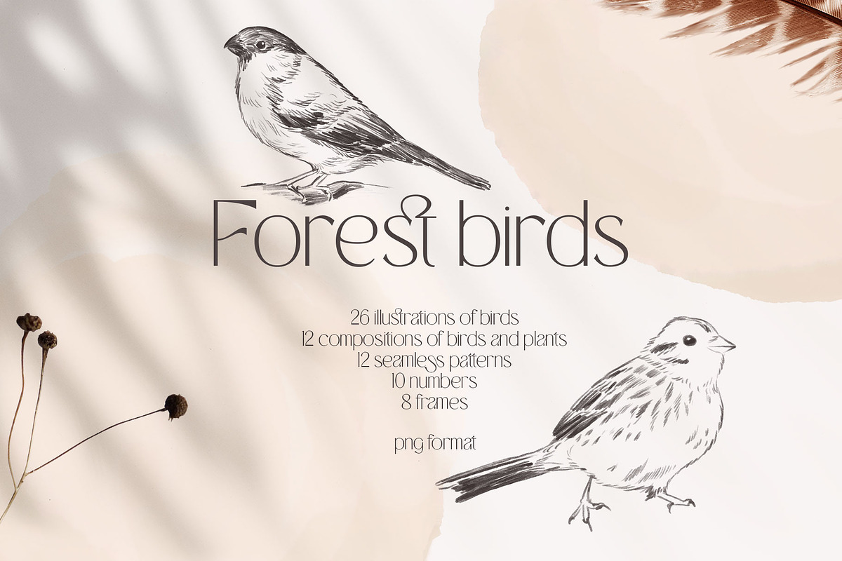 FOREST BIRDS sketches collection, an Animal Illustration by Yuliia Lashevska (Photo 1 of 10)