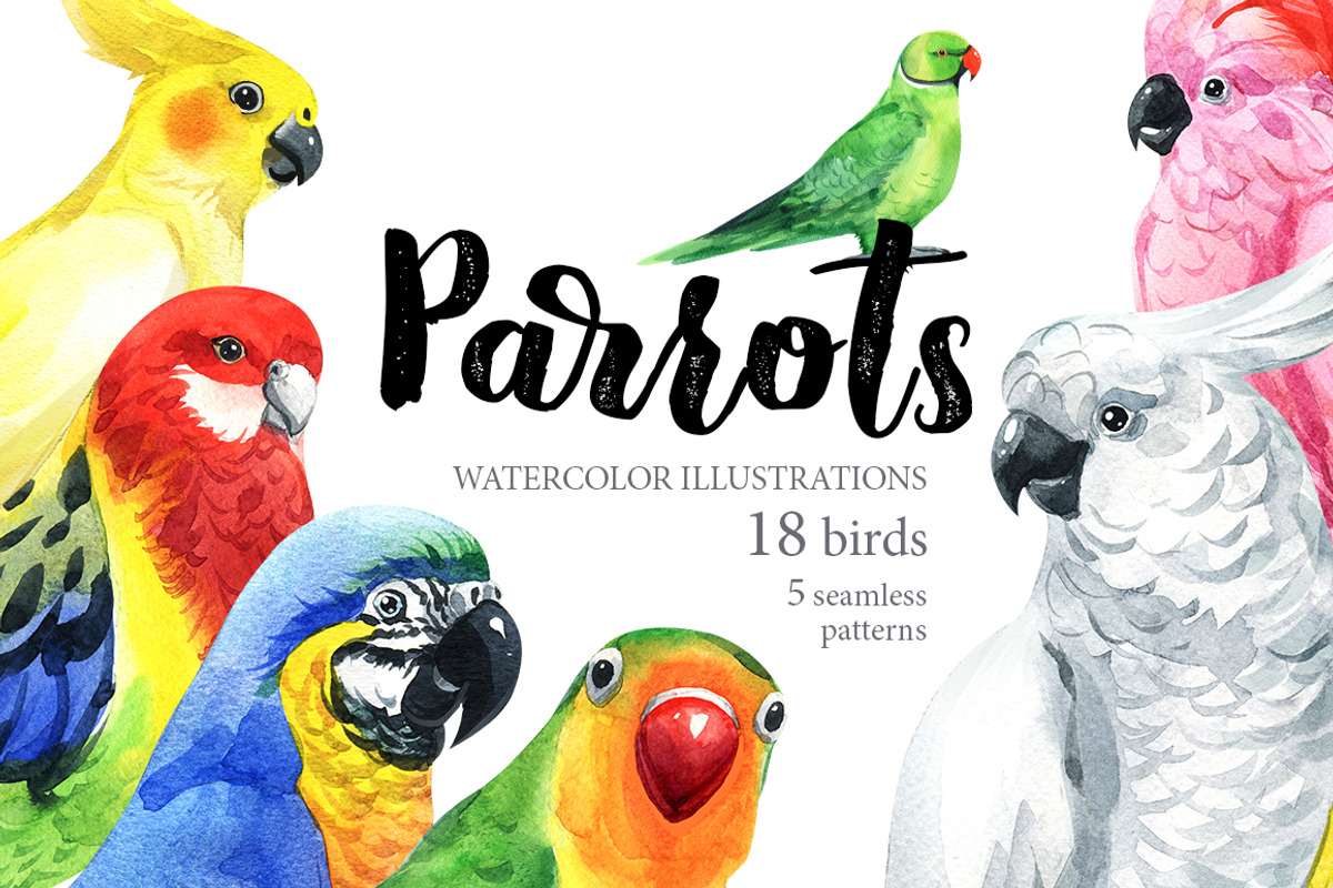 Parrots-watercolor set, an Animal Illustration by KatBranchArt (Photo 1 of 5)