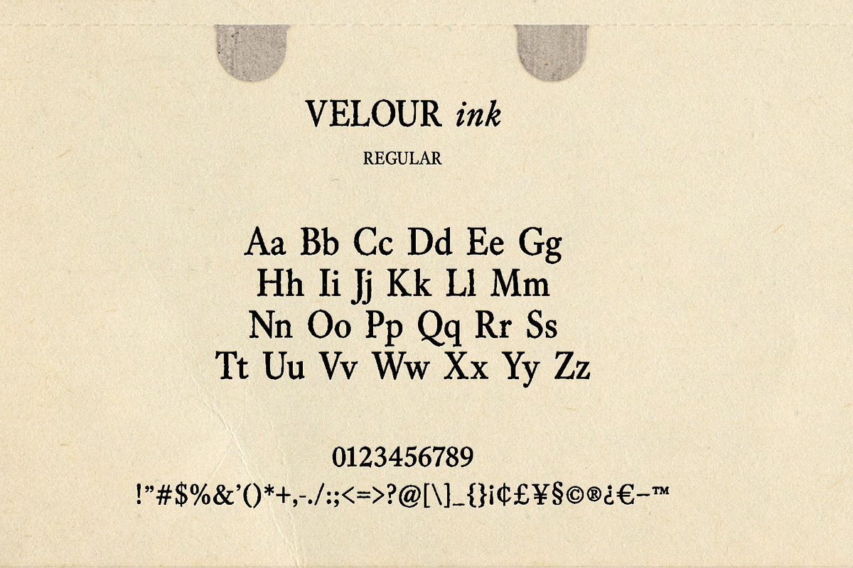 Velour Ink Textured Serif Duo, a Serif Font by Mneme (Photo 3 of 9)