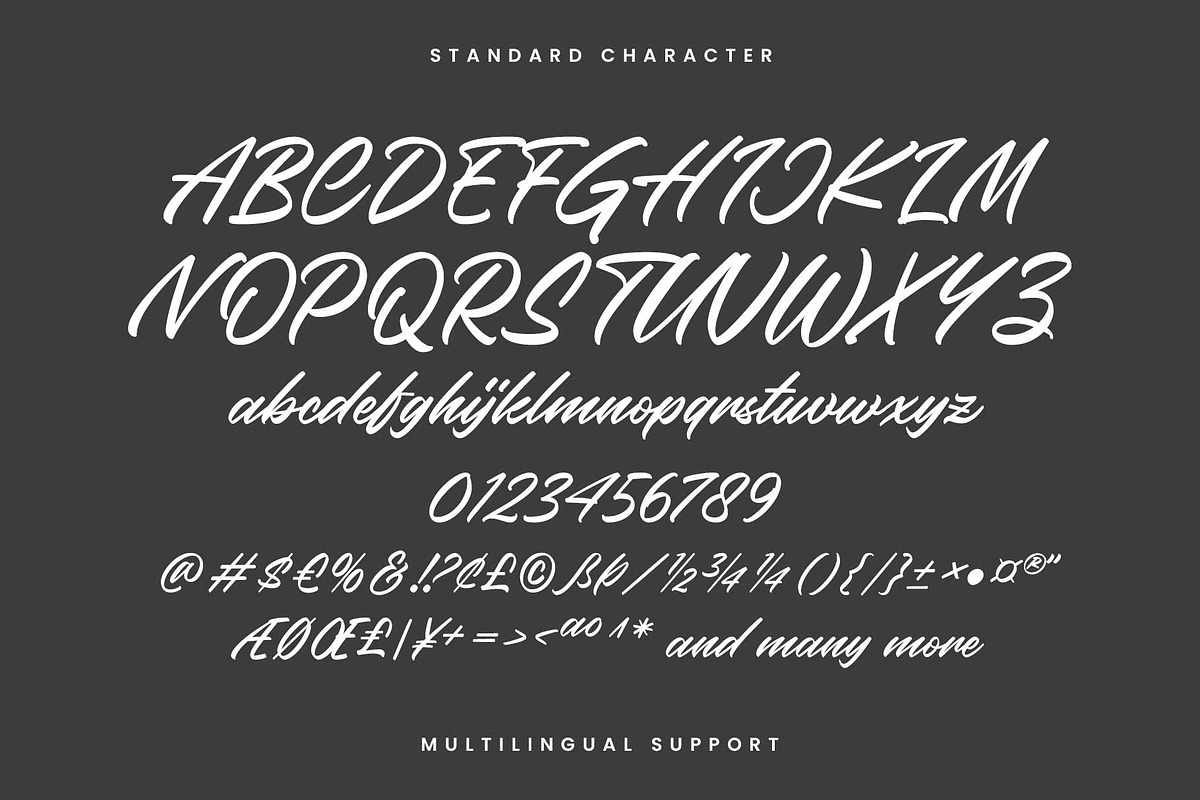 Rainylock - Handwritten Script, a Script Font by Arterfak Project (Photo 10 of 13)