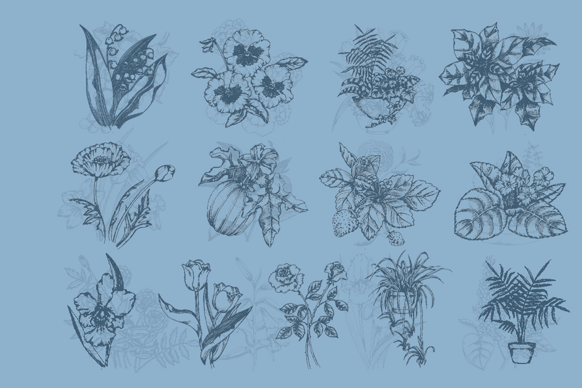 25 Vintage Flora Illustrations, an Illustration by Alpha Mike Foxtrot (Photo 3 of 5)
