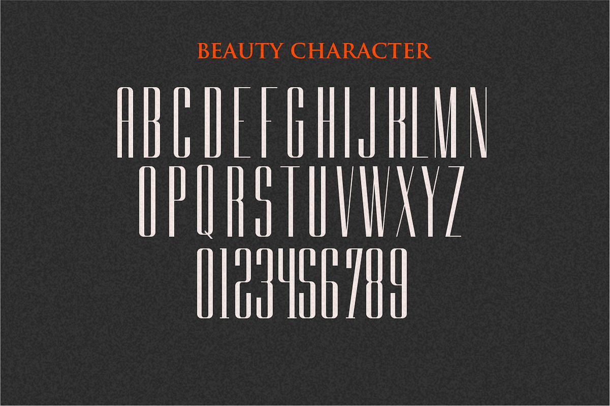 East Liberty | Thin Signature & Sans, a Font by typeline studio (Photo 15 of 16)