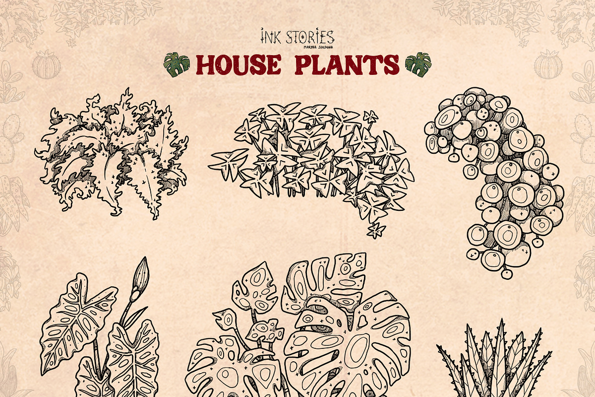 House Plants, an Object Illustration by Ink Stories (Photo 9 of 23)