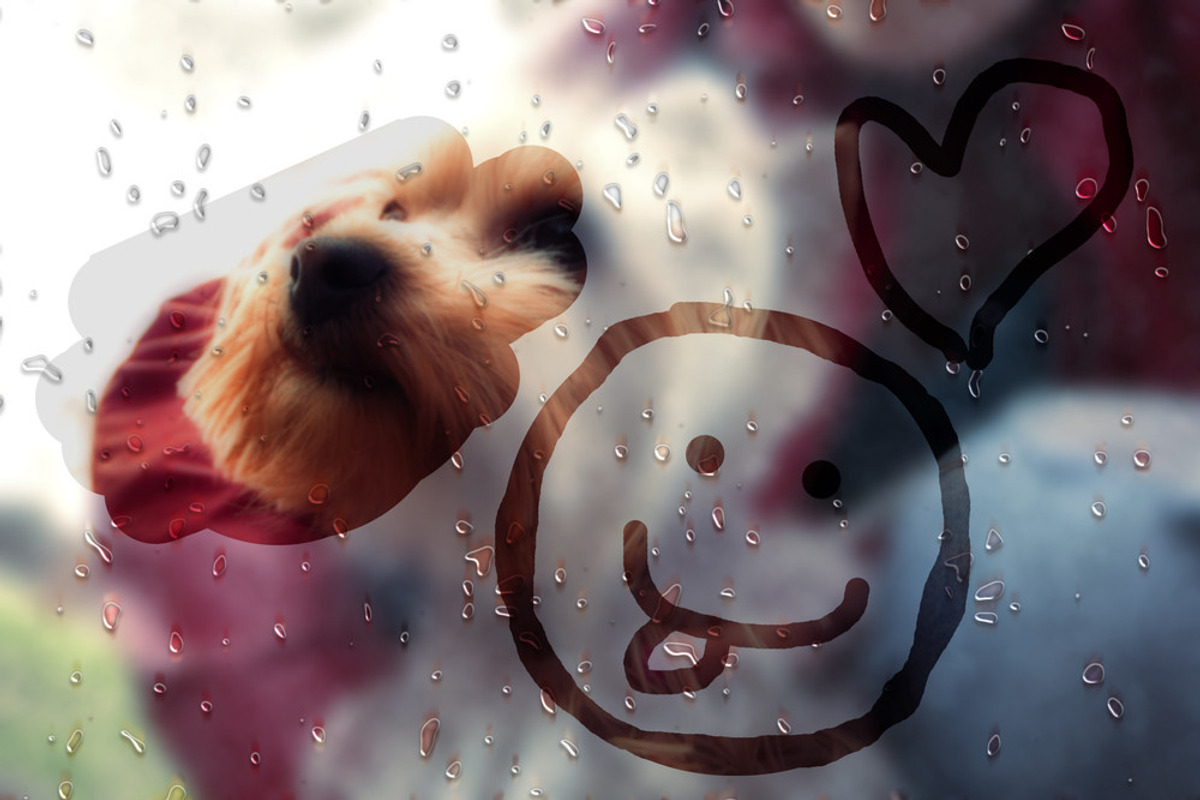 INCREDIBUNDLE Graphics, Templates..., a Graphic by Visual Impact (Photo 7 of 24)