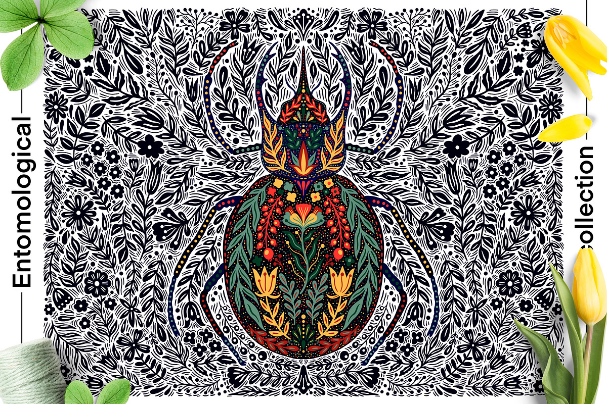 Entomological collection insect, a Decorative Illustration by Moonflora (Photo 7 of 13)