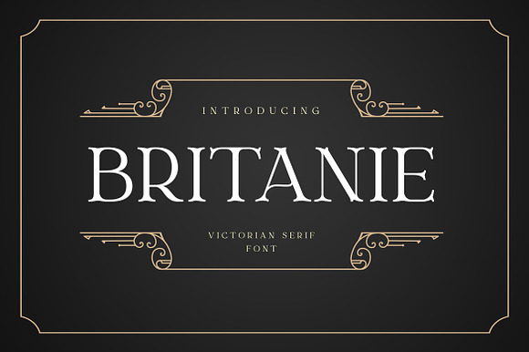 BRITANIE Vectorian Serif Font preview 7