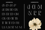 Mabrina Elegant Ligature Serif, a Serif Font by Alfinart (Thumbnail 9 of 9)