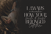 Anna Glave - Serif & Script Font Duo, a Serif Font by VP Fonts (Thumbnail 4 of 28)
