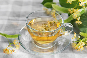 Linden tea brewing with fresh tilia flowers and leaves, a Food & Drink Photo by Olena Rudo