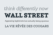 Emy Slab, a Slab Serif Font by Latinotype (Thumbnail 5 of 10)