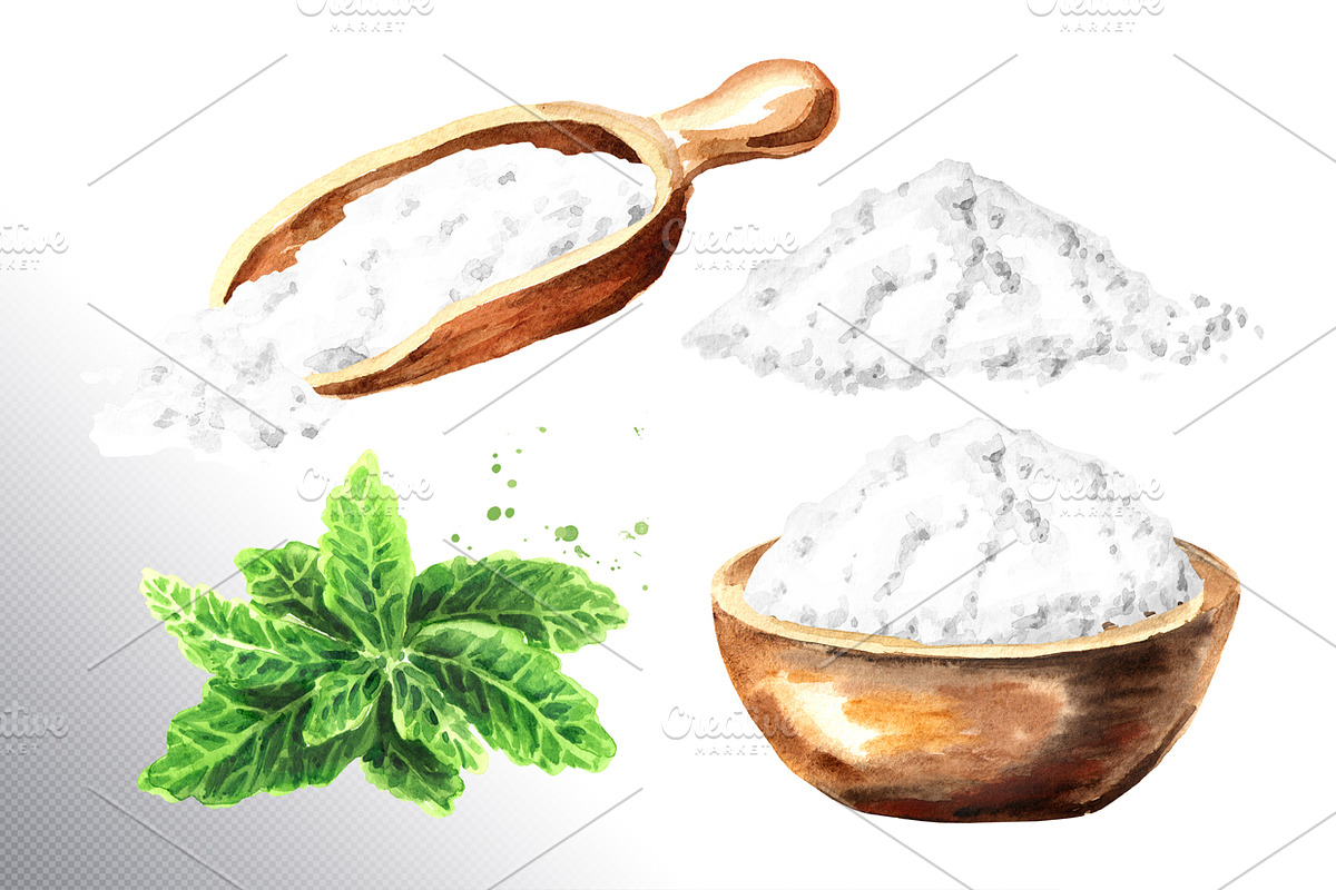 Stevia. Watercolor collection, a Healthcare Illustration by Daria Ustiugova (Photo 4 of 6)