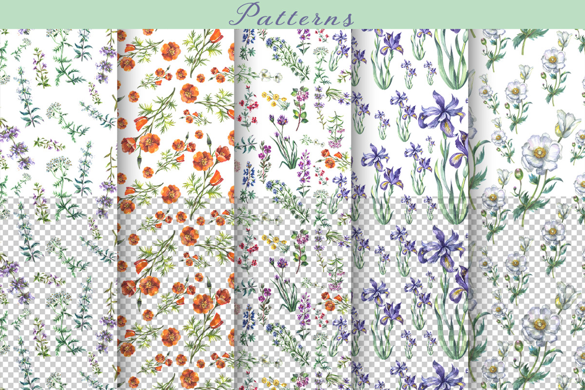 Native California wildflowers, an Illustration by FITALARTSNEDIGI (Photo 4 of 8)