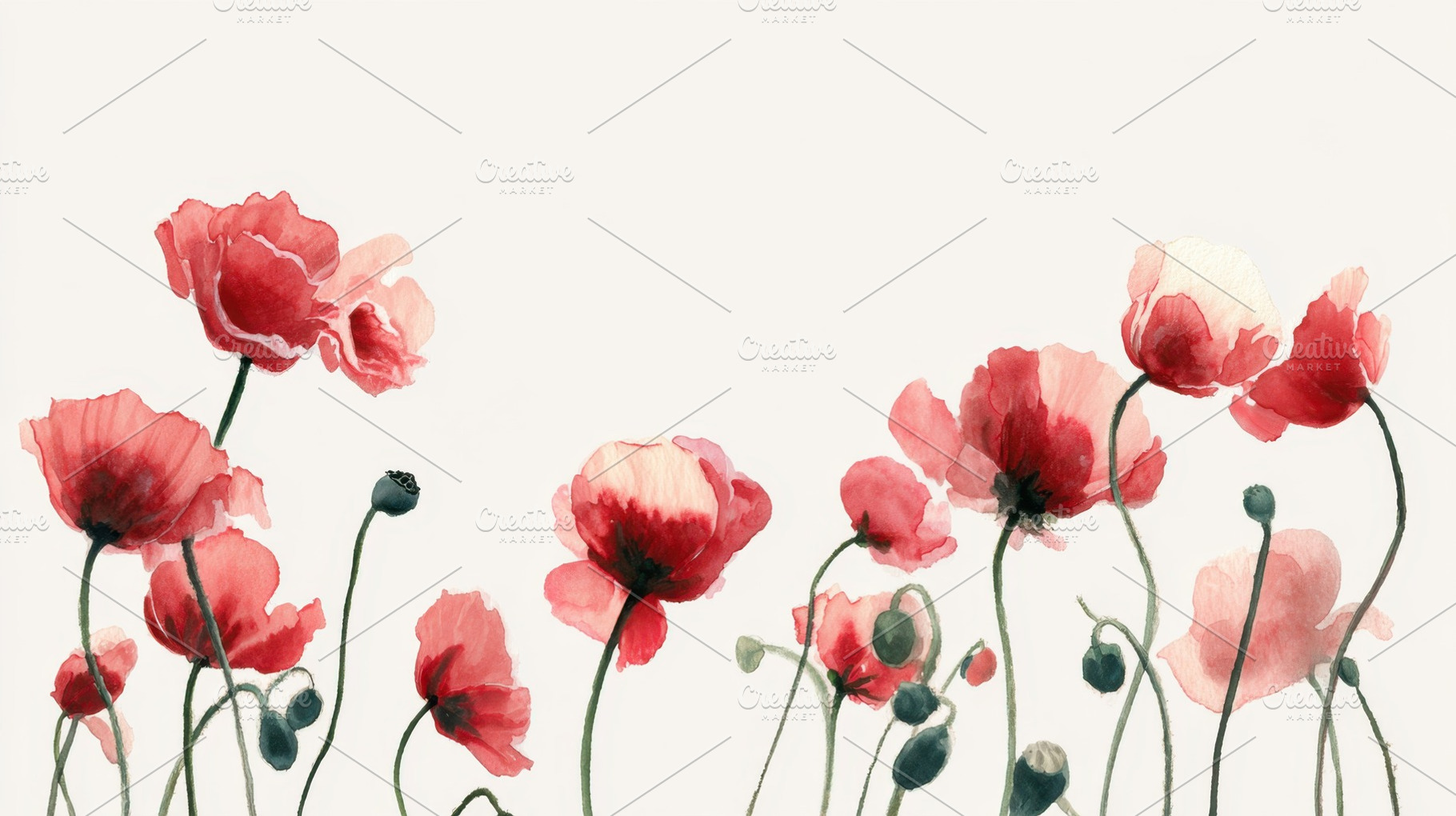 Poppies grow in a field of flowers, a Photo by Beautiful things