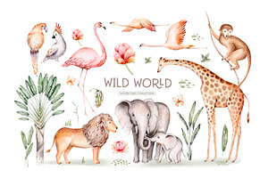 Wild World. African Collection