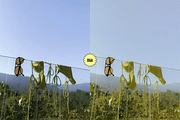 30 CLASSIC FILM LIGHTROOM PRESETS, a Preset Add-On by AmuletPresets (Thumbnail 4 of 11)
