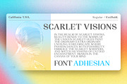 Adhesian Serif Font Family, a Serif Font by Propertype (Thumbnail 5 of 12)