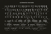 Mirellow White Distressed Serif, a Serif Font by Letterhend Studio (Thumbnail 6 of 13)