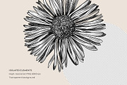 Autumn Leaves and Flowers Vector Set, an Object Graphic by Yevheniia (Thumbnail 10 of 11)