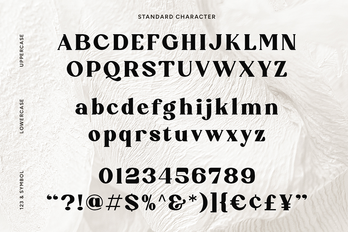 Calfint - Bold Serif Font, a Serif Font by Pekotype (Photo 12 of 13)