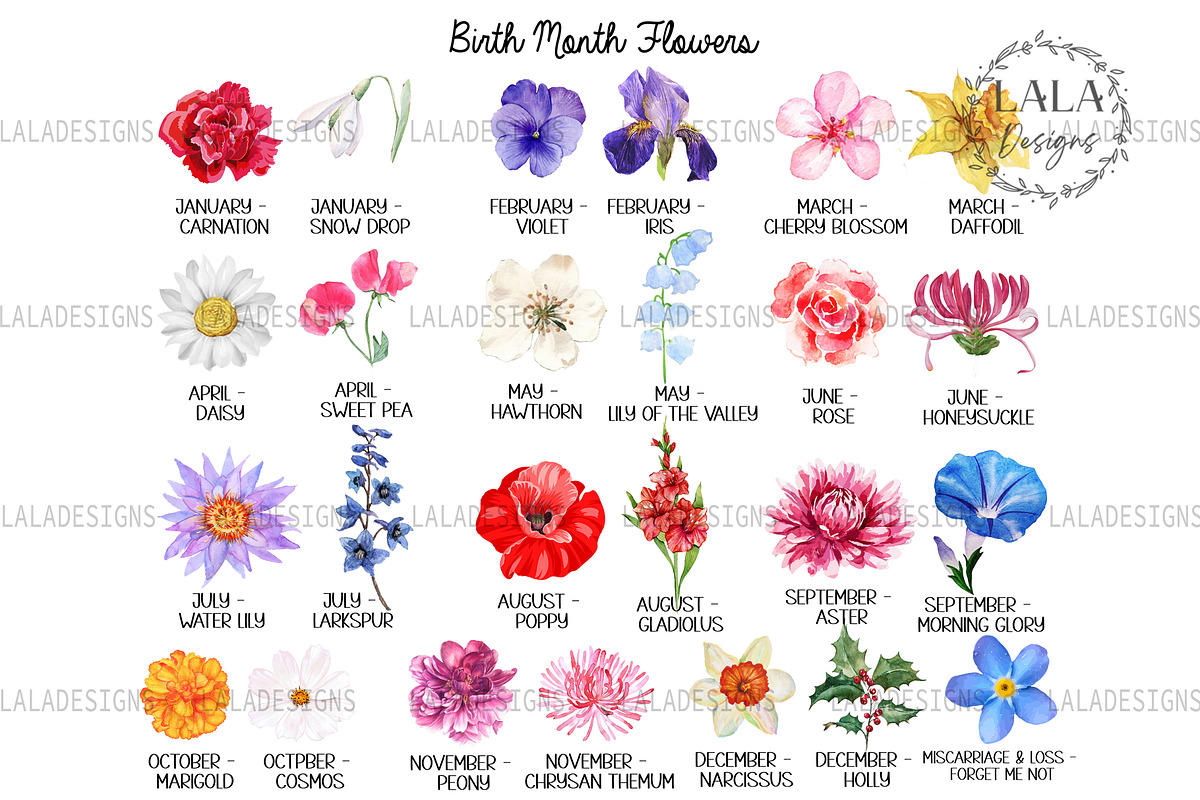 Grandma Birth Month Flower Png, a Graphic by LALADesigns (Photo 2 of 2)
