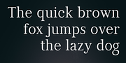 Manas, a Serif Font by Fontuma (Thumbnail 8 of 12)