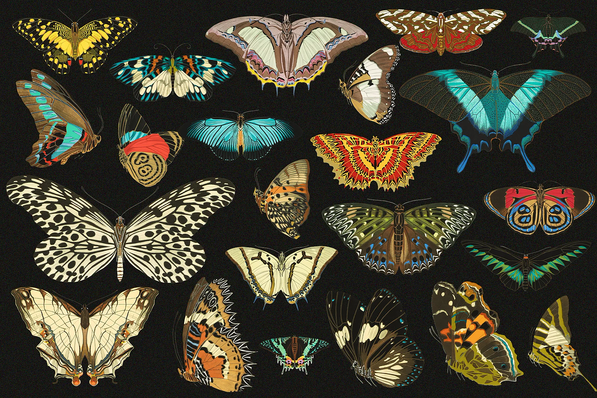 E.A. Séguy HQ Clipart Bundle, an Animal Illustration by Digital Museum (Photo 6 of 10)