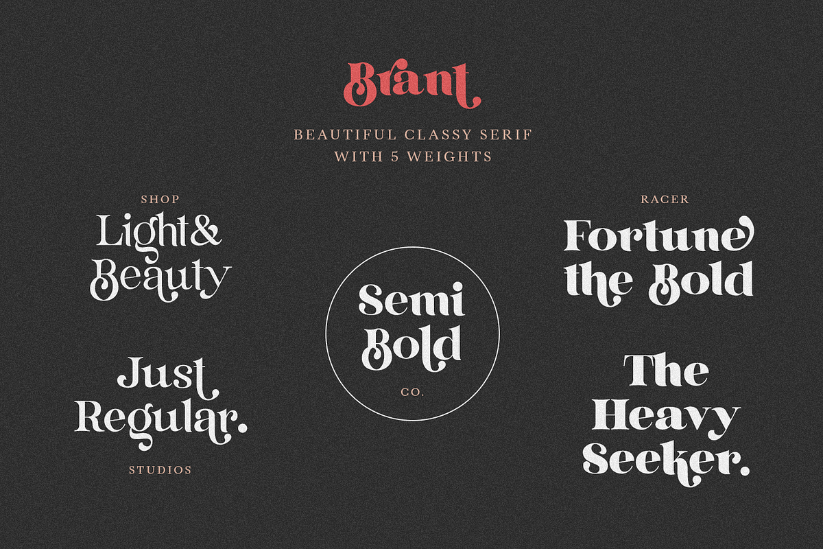 Brant, a Serif Font by FactoryType Studio (Photo 2 of 11)