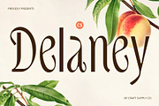 CS Delaney – Modern Font, a Sans Serif Font by Craft Supply Co. (Thumbnail 1 of 8)