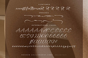 Beatillo Diamond Modern Calligraphy, a Script Font by Letterena Studios Script (Thumbnail 14 of 15)