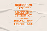 Dept | Display typeface, a Sans Serif Font by ClevUs (Thumbnail 10 of 12)